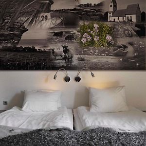 Standard Familjerum med King size-säng